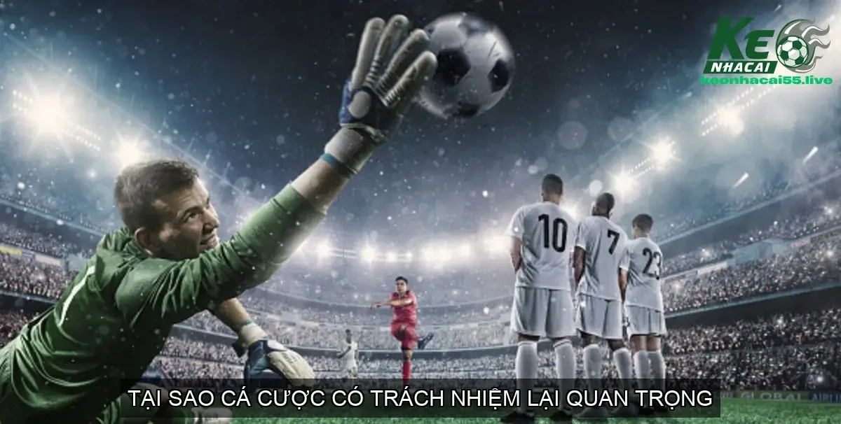 Tại Sao Cá Cược Có Trách Nhiệm Lại Quan Trọng