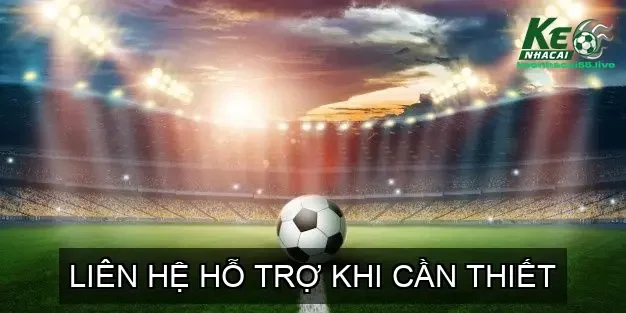 Liên Hệ Hỗ Trợ Khi Cần Thiết