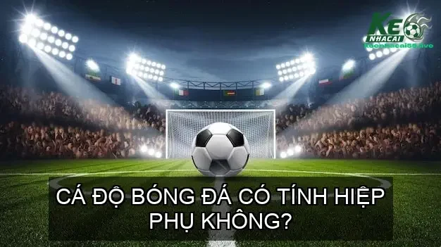 ca do bong da co tinh hiep phu khong 68e4dcaa6aa29