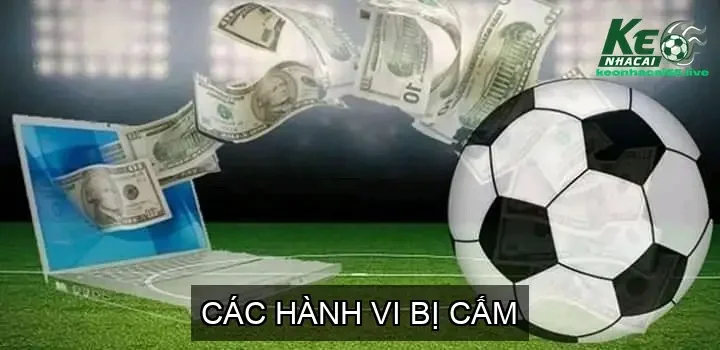 Các Hành Vi Bị Cấm