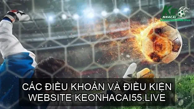 Tổng Quan về Các Điều khoản và Điều kiện