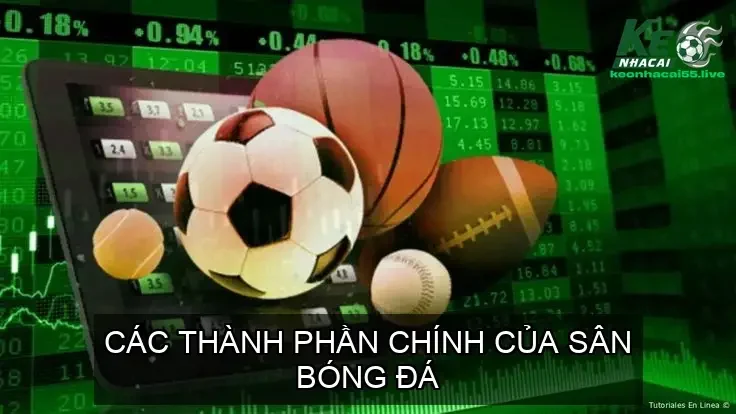 Football pitch trong bóng đá là gì? Sân bóng đá cho các trận đấu 2 Các Thành Phần Chính của Sân Bóng Đá