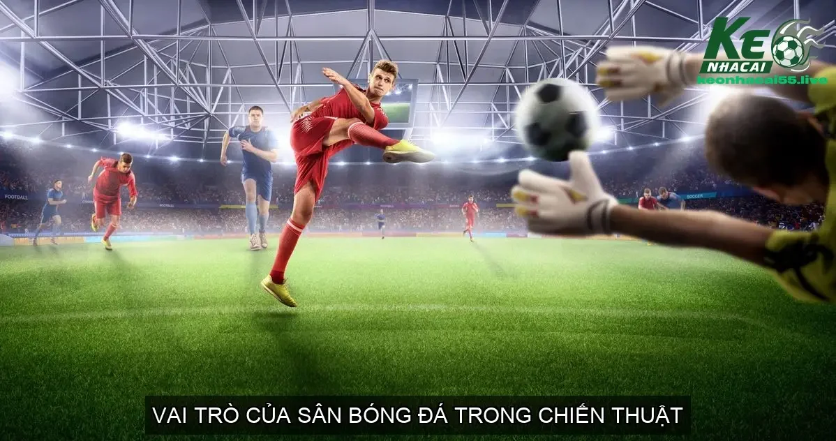 Football pitch trong bóng đá là gì? Sân bóng đá cho các trận đấu 5 Vai Trò của Sân Bóng Đá trong Chiến Thuật