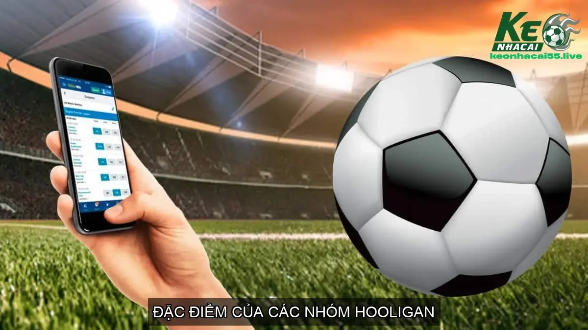 Hooligan trong bóng đá là gì? - Hiện tượng bóng đá nguy hiểm 3 Đặc Điểm Của Các Nhóm Hooligan