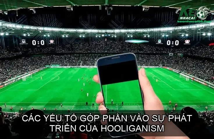 Hooligan trong bóng đá là gì? - Hiện tượng bóng đá nguy hiểm 2 Các Yếu Tố Góp Phần Vào Sự Phát Triển của Hooliganism
