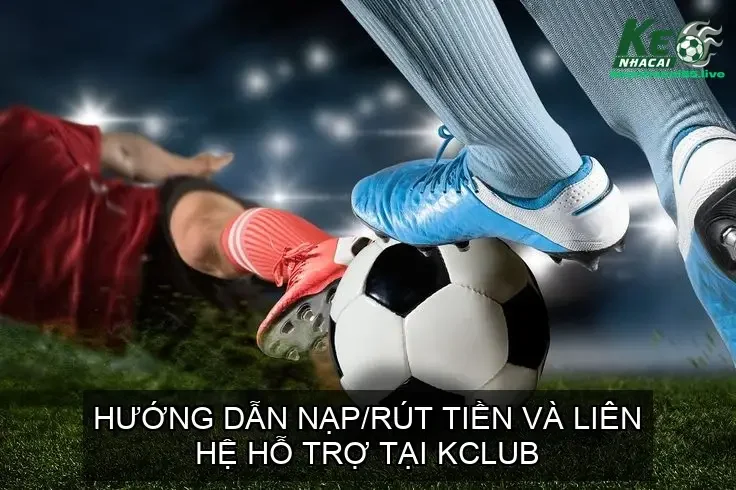 Liên Hệ Bộ Phận Hỗ Trợ Khách Hàng 24/7