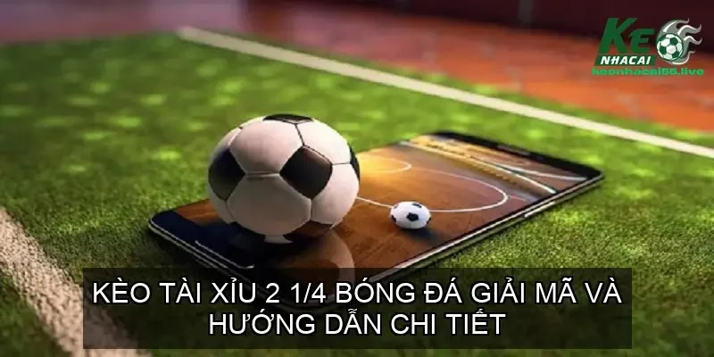 keo tai xiu 2 1 4 68e4dc9753d8c