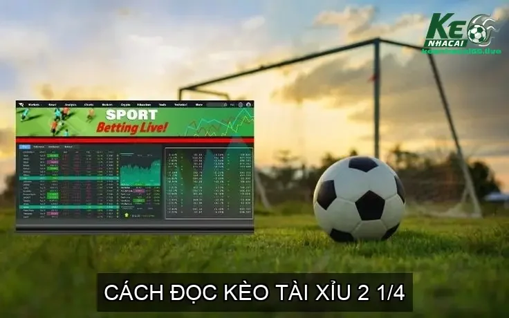 Kèo Tài Xỉu 2 1/4 Bóng Đá Giải Mã và Hướng Dẫn Chi Tiết 2 Cách Tính Tiền Thắng Thua