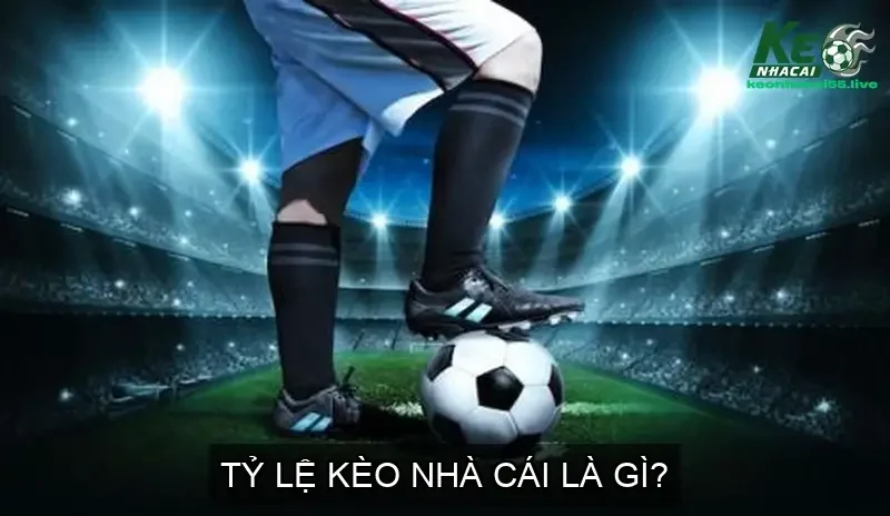 Tỷ Lệ Kèo Nhà Cái 5: Bí Quyết Đọc Vị Kèo Bóng Đá Trực Tiếp 143 Tỷ Lệ Kèo Nhà Cái Là Gì?