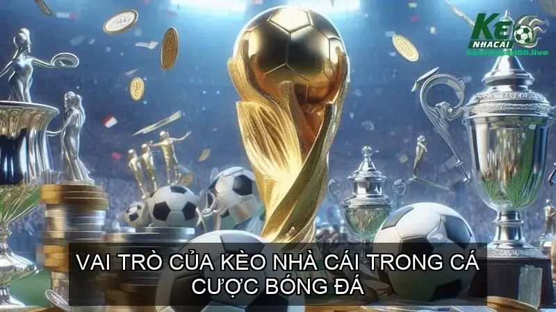 Tỷ Lệ Kèo Nhà Cái 5: Bí Quyết Đọc Vị Kèo Bóng Đá Trực Tiếp 145 Vai trò của kèo nhà cái trong cá cược bóng đá