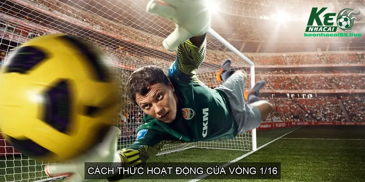 Vòng 1/16 bóng đá là gì? Cách Thức Hoạt Động Của Vòng 1/16 2 Cách Thức Hoạt Động Của Vòng 1/16